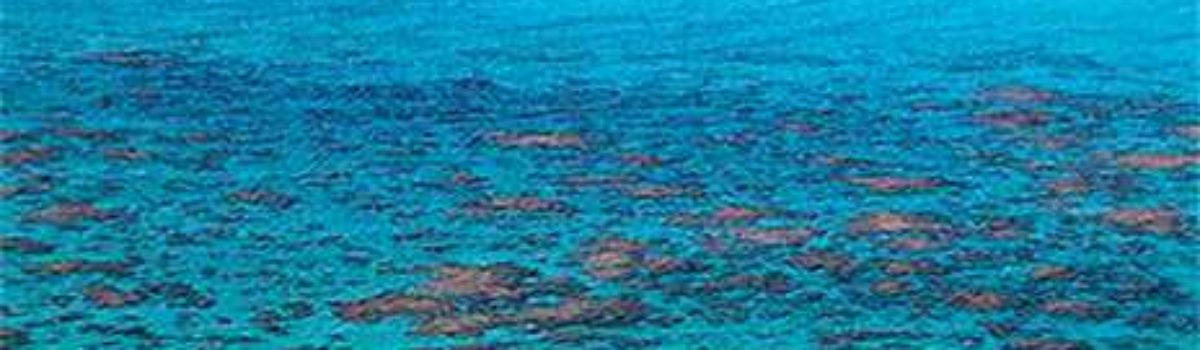 Mergulho em Maracajaú + Ma-Noa Prime
