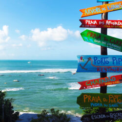 Praia da Pipa Natal: Tudo que Você precisa saber agora